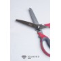 Ножницы фигурные Зиг-заг "Best GPT-1018" №9/23,5 см цв.красный+серый